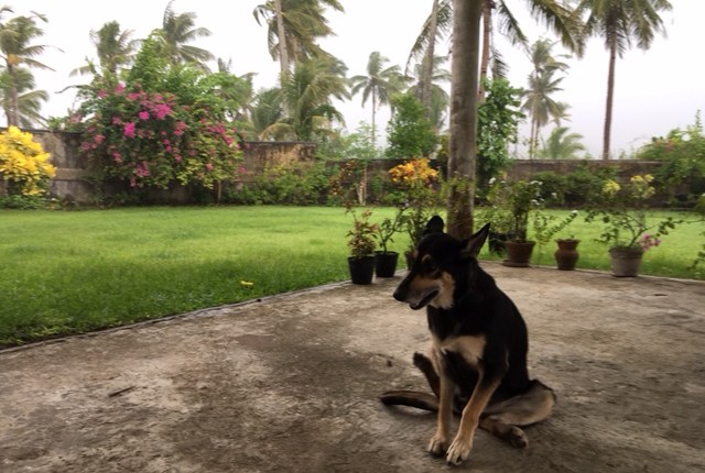 first week down and I’m going strong (sort&nbsp;of)