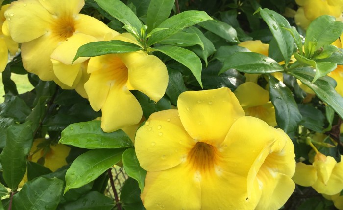 in the midst of grief, we must&nbsp;grieve.