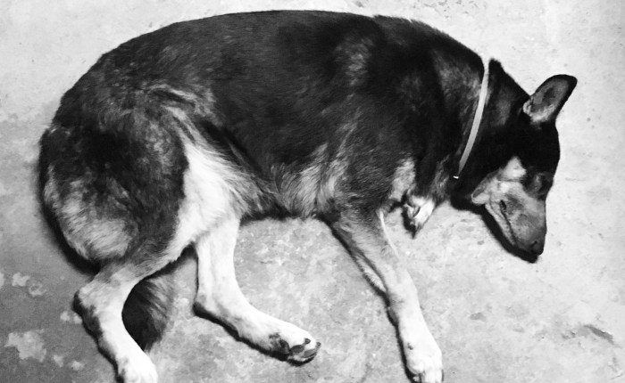 Sunsets and Side&nbsp;Streets